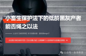 小畜生保护法下的低龄黑灰产-阻击者联盟