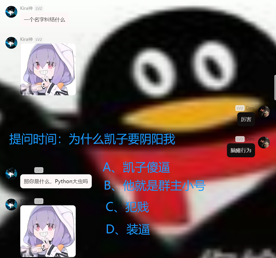 d2b5ca33bd20250210203745