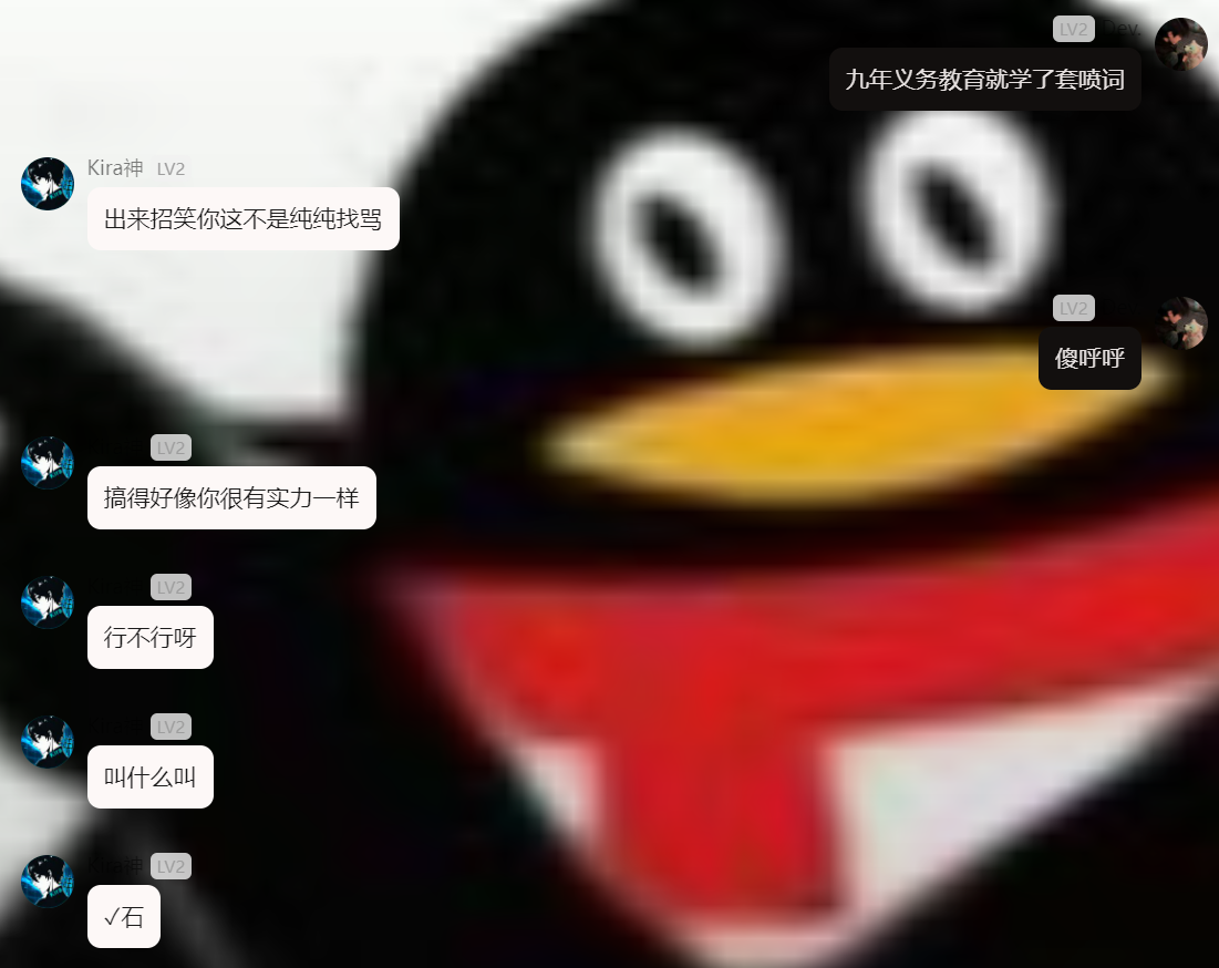 d2b5ca33bd20250210204806