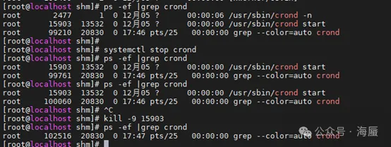 d2b5ca33bd20251225102041